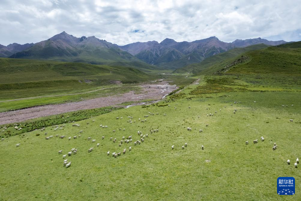 必一运动美丽中国丨夏日祁连山(图3)