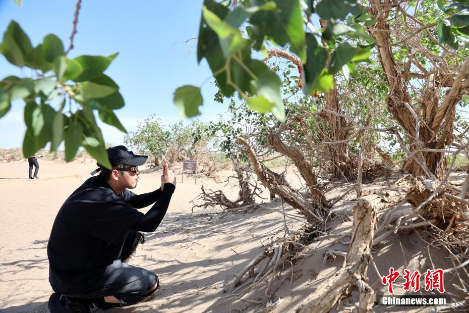 必一运动青海格尔木：世界海拔最高胡里感受沧海桑田(图2)