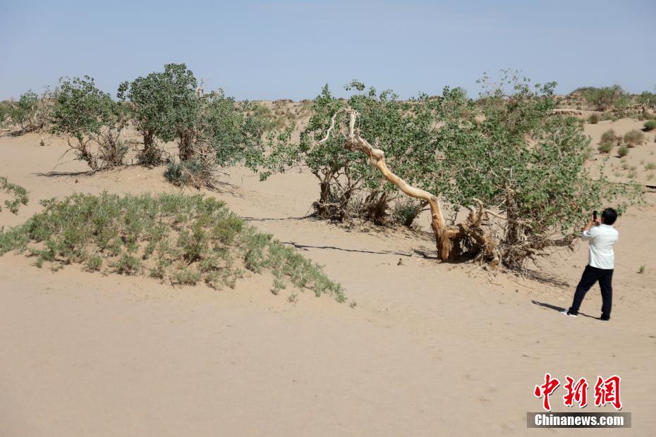 必一运动青海格尔木：世界海拔最高胡里感受沧海桑田(图5)