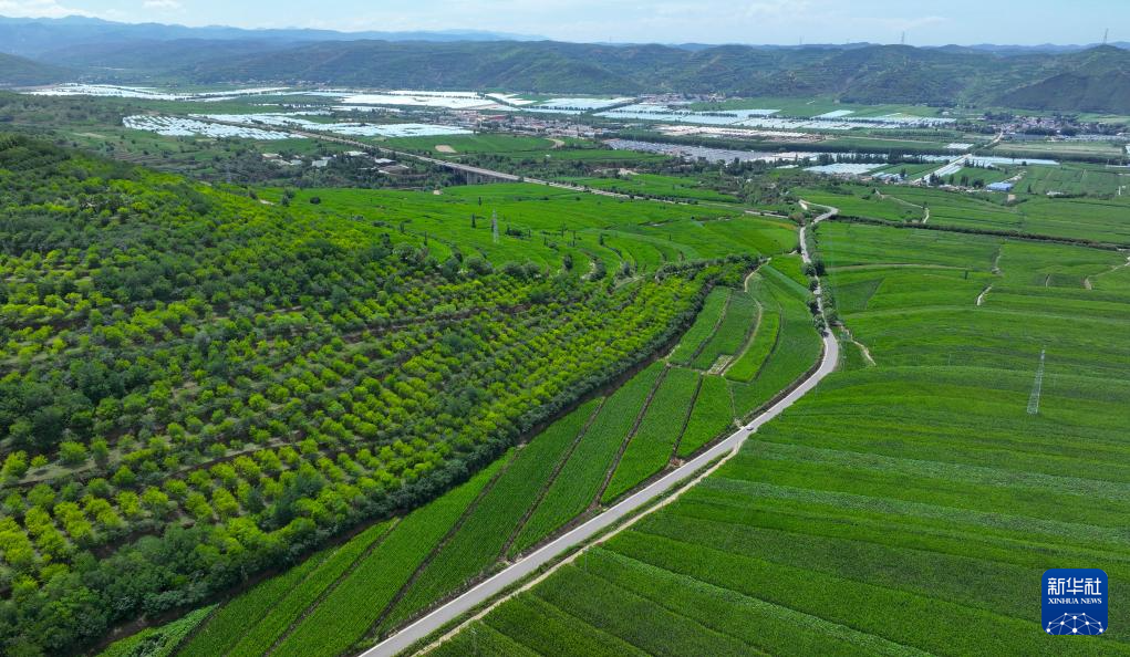 必一运动“四好农村路”串起塞上和美乡村(图1)