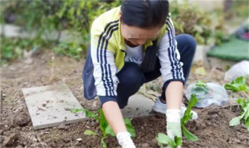 必一运动一对退休多年的夫妻带上50万存款回老家养老一年后却落荒而逃(图3)