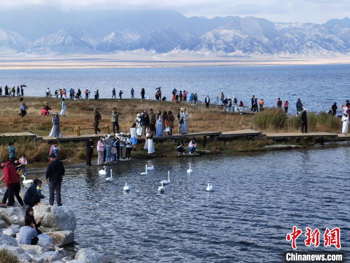 必一运动新疆赛里木湖天鹅舞 秋日风光醉游人(图8)